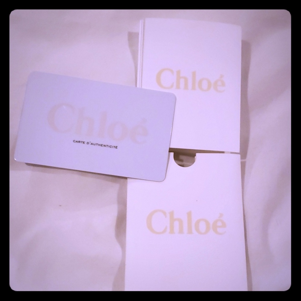 Chloe purse